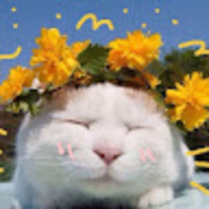 Meet your Posher, Jee